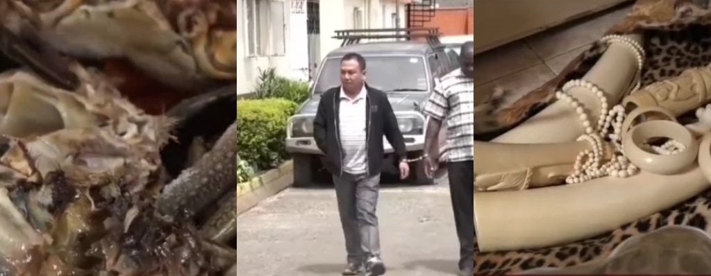 Chinese Family Arrested With Contrabands In Nairobi.