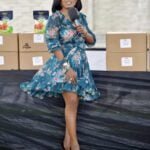 Nana Aba Anamoah Descends On Colleague Journalists For.