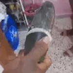 Boyfriend Loses Grip After He Finds A Huge Cucumber Wearing Condom In Her Wardrobe
