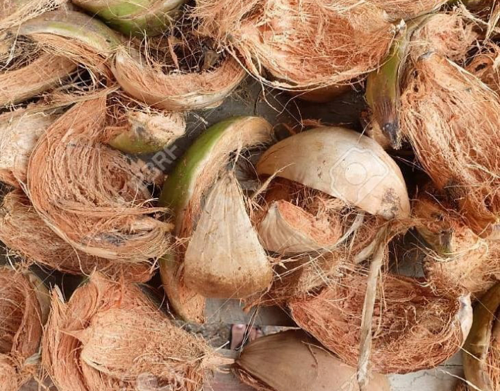 Medicinal Benefits Of Coconut Husks