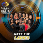 BBNaija Season 6: Meet The Ladies Of The House