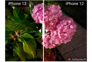iPhone 13 Review: Display And Cameras