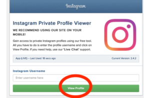 Best Instagram Private Viewer And How To Use It