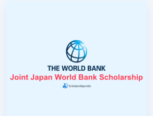 Best 12 Undergraduate Scholarships For Business Administration Students