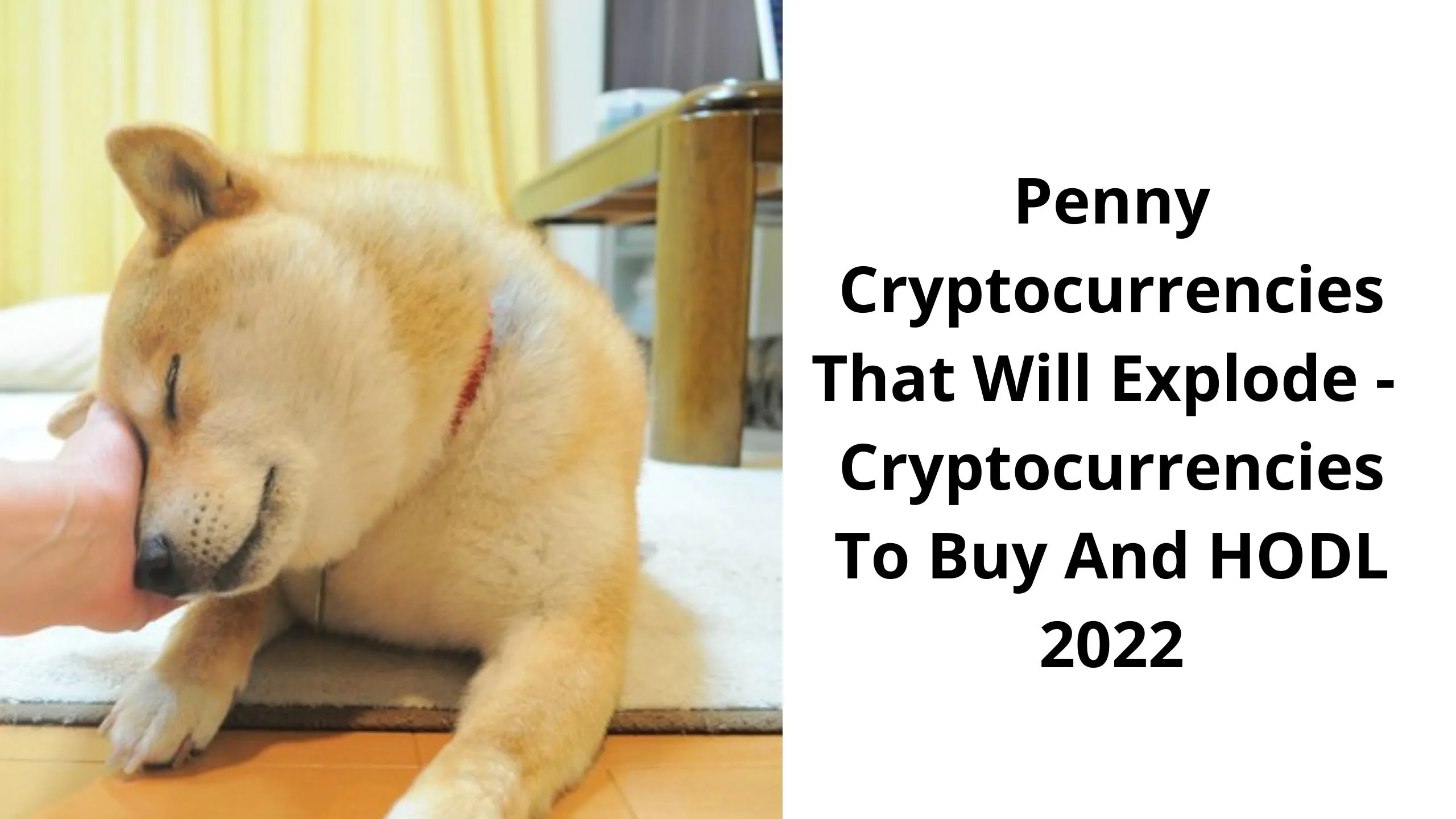 Penny Cryptocurrencies That Will Explode - Cryptocurrencies To Buy And HODL 2022