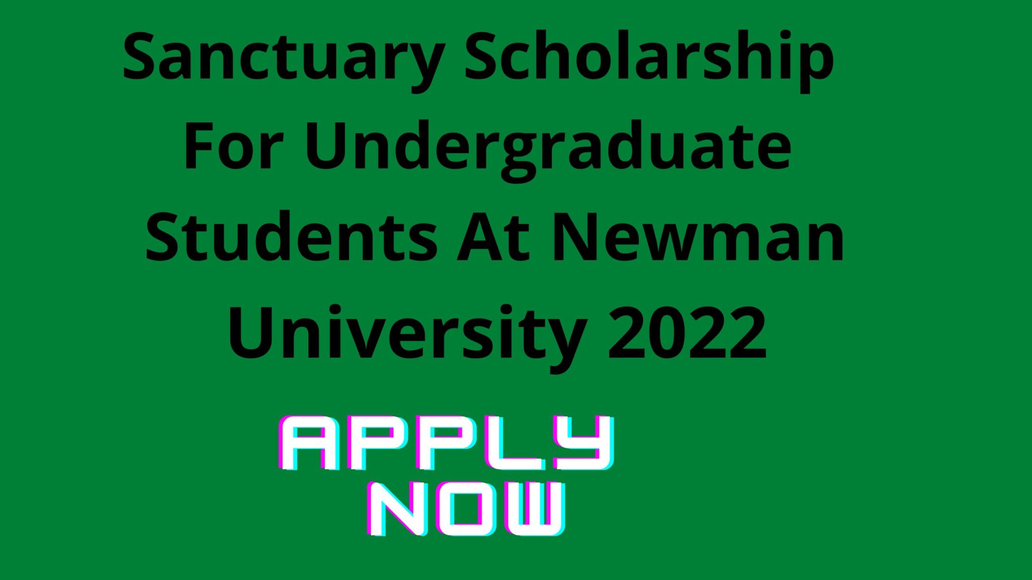 Sanctuary Scholarship For Undergraduate Students At Newman University 2022