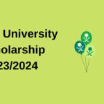 Najran University Scholarship 2023/2024