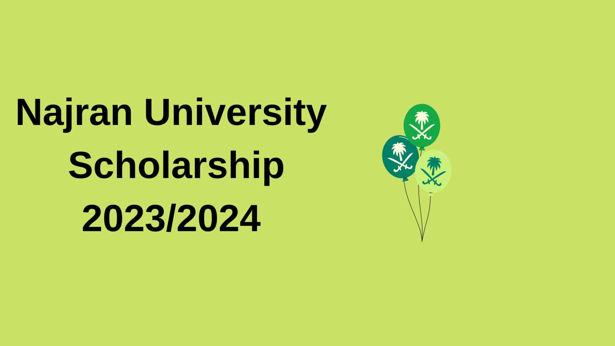 Najran University Scholarship 20232024