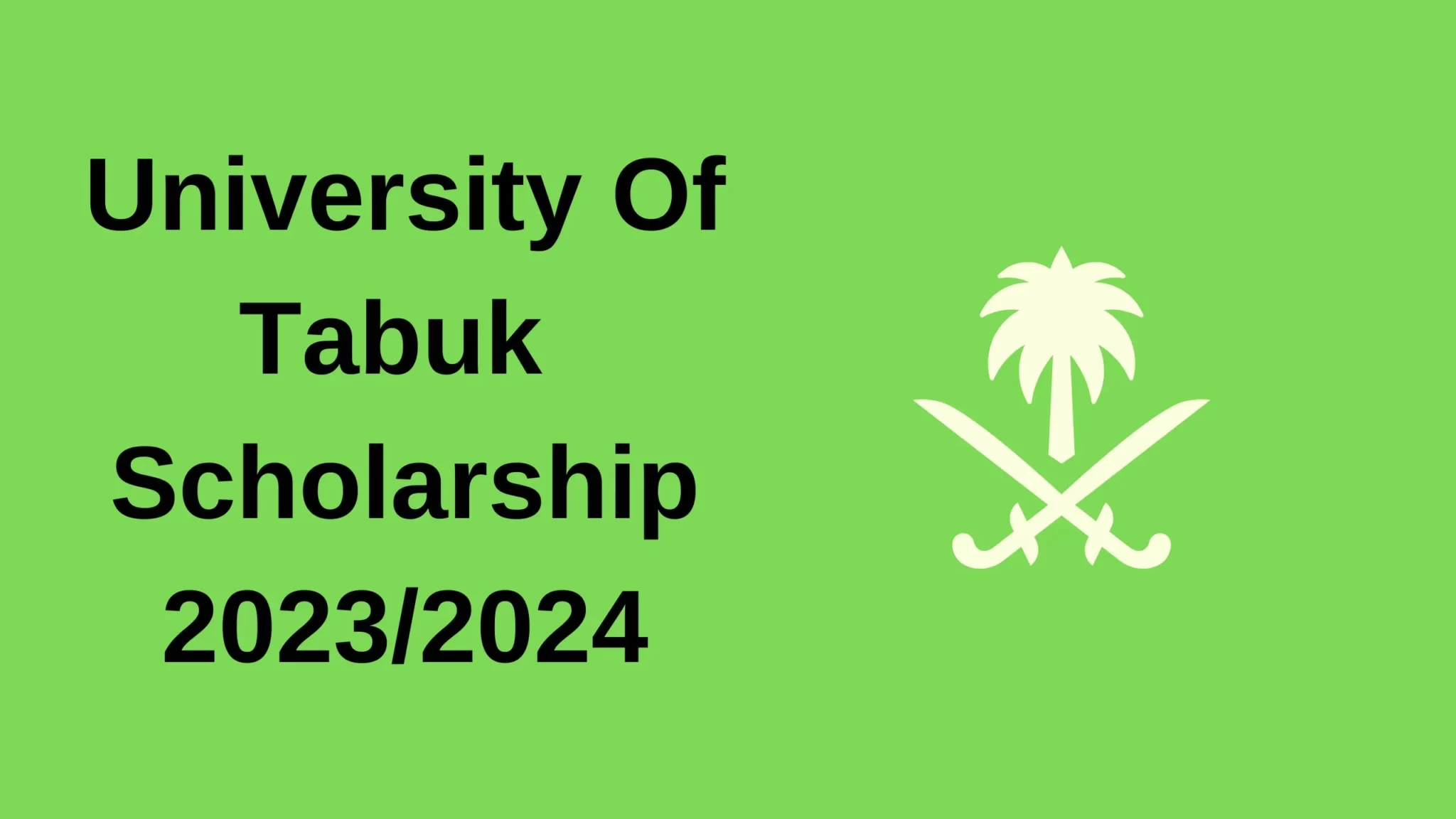 University-Of-Tabuk-Scholarship-20232024