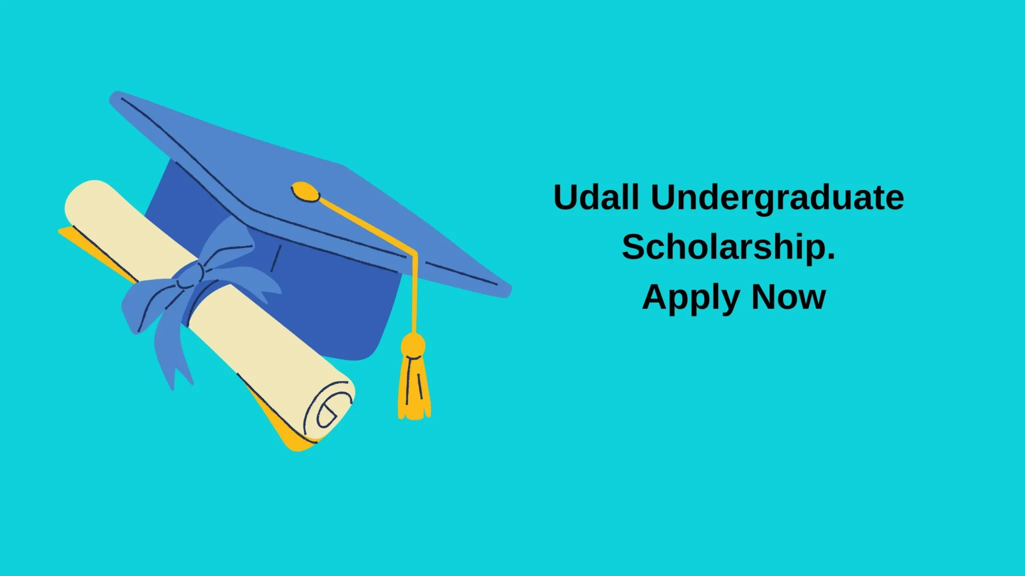 Udall Undergraduate Scholarship. Apply Now
