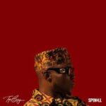 SPINALL Ft. Amaarae – Bow Down MP3 Download