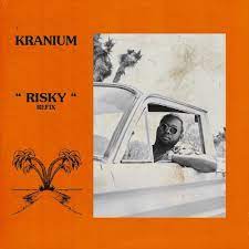 Kranium – Risky (Refix) MP3 Download