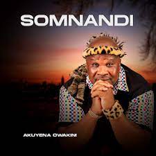 Somnandi – Ngawa Ngashelelela MP3 Download
